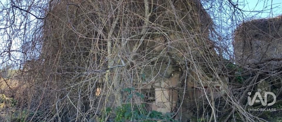 Rustico 5 locali di 90 m² in Osimo (60027)