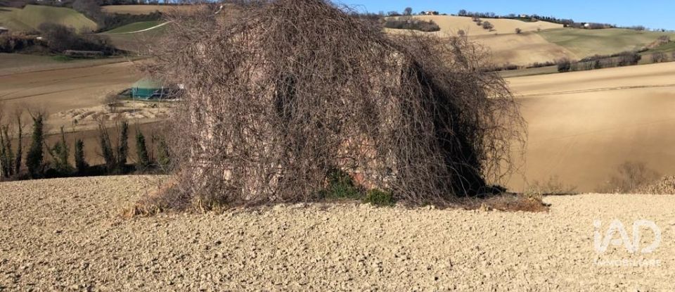 Rustico 5 locali di 90 m² in Osimo (60027)
