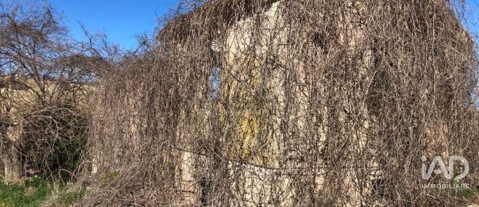 Rustico 5 locali di 90 m² in Osimo (60027)