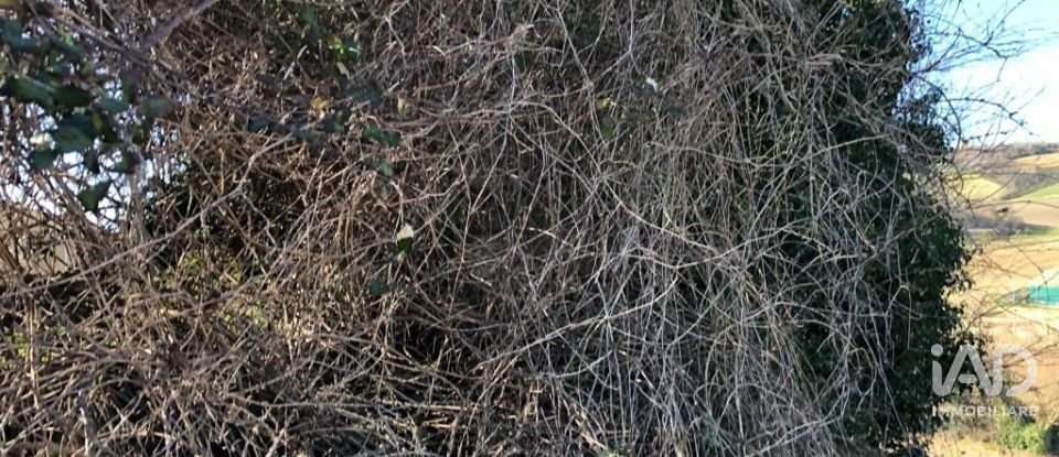 Rustico 5 locali di 90 m² in Osimo (60027)