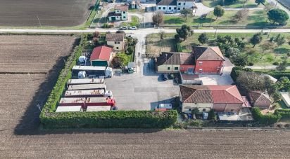Abitazione 6 locali di 279 m² in Jolanda di Savoia (44037)