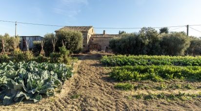 Casa indipendente / Villa 12 locali di 486 m² in Sant'Elpidio a Mare (63811)