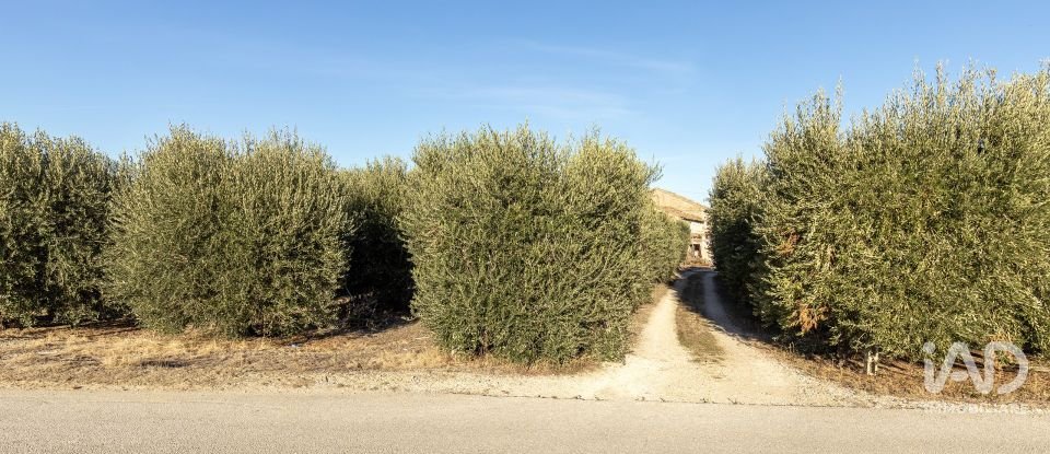 Casa indipendente / Villa 12 locali di 486 m² in Sant'Elpidio a Mare (63811)