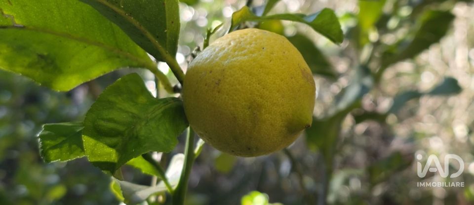 Apartment 6 rooms of 159 m² in Savona (17100)