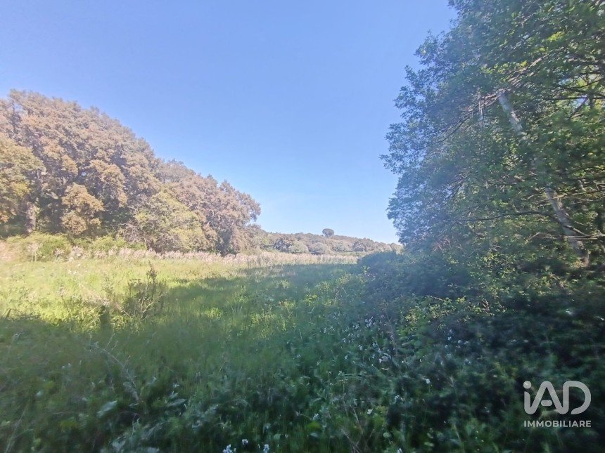 Terreno di 8.723 m² in Telti (07020)