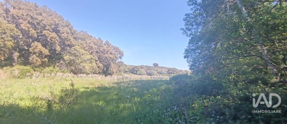 Terreno di 8.723 m² in Telti (07020)