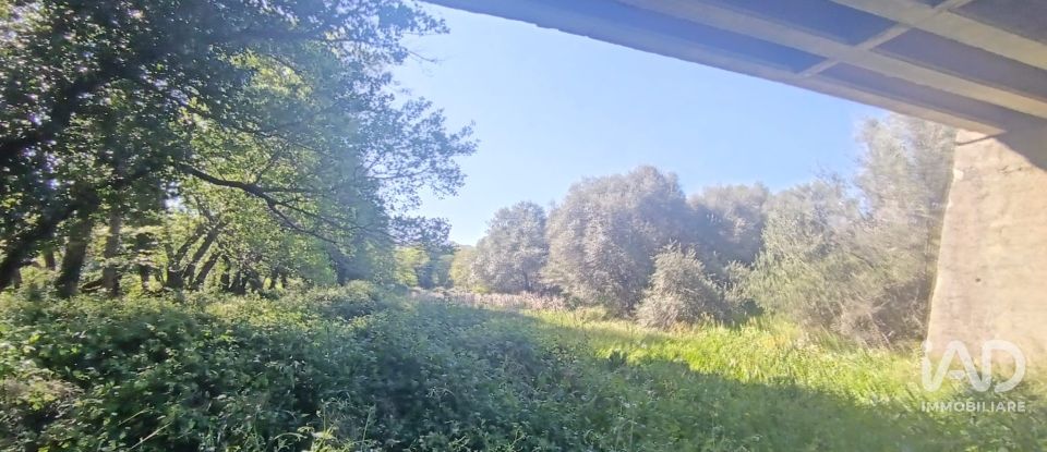 Terreno di 8.723 m² in Telti (07020)