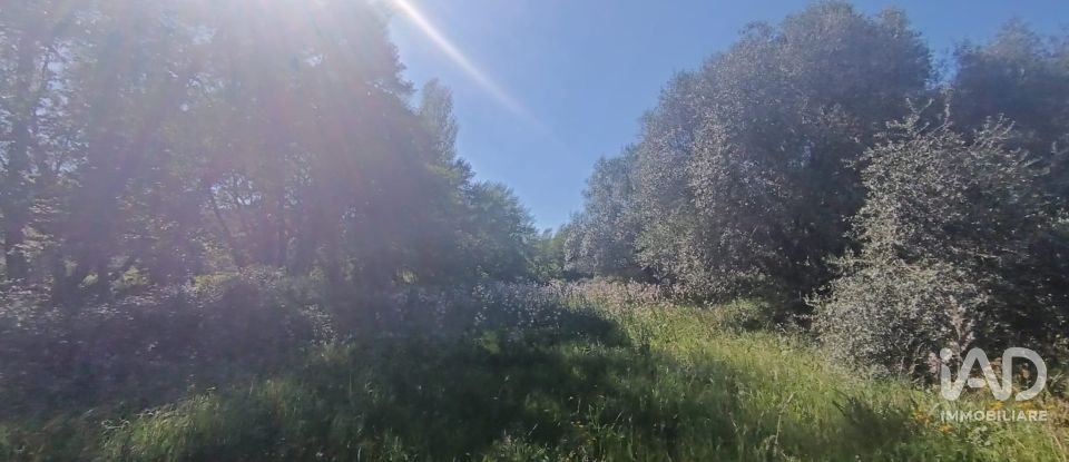 Terreno di 8.723 m² in Telti (07020)