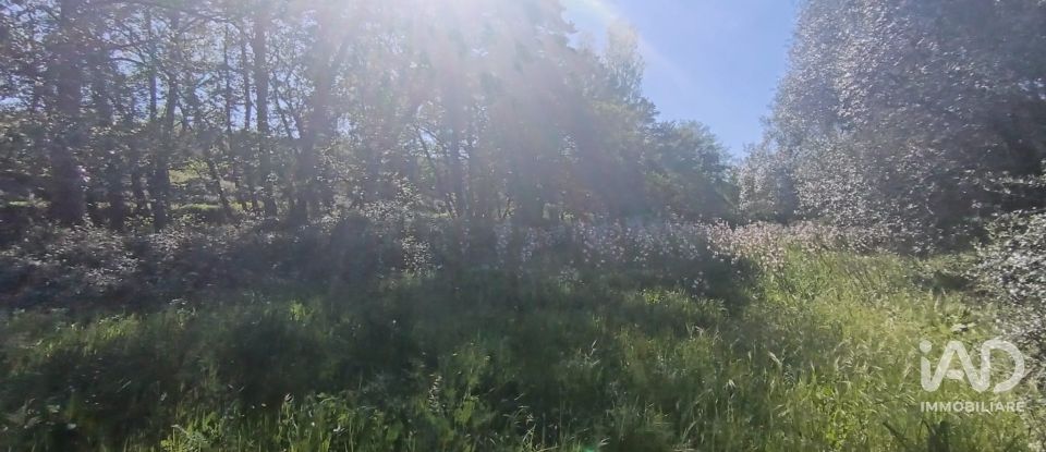 Terreno di 8.723 m² in Telti (07020)