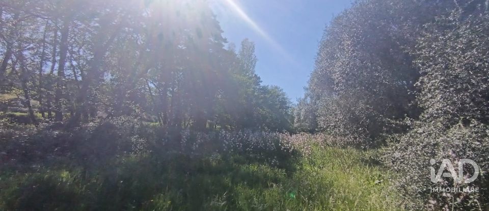 Terreno di 8.723 m² in Telti (07020)