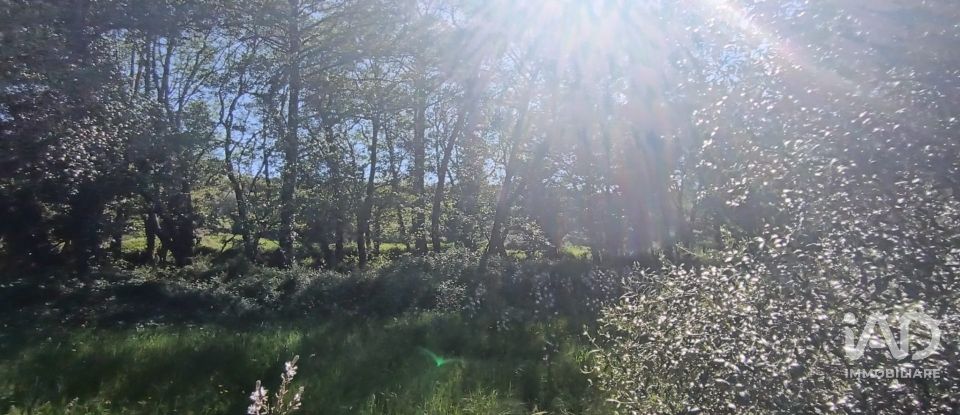 Terreno di 8.723 m² in Telti (07020)