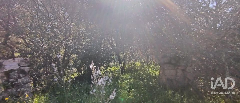 Terreno di 8.723 m² in Telti (07020)