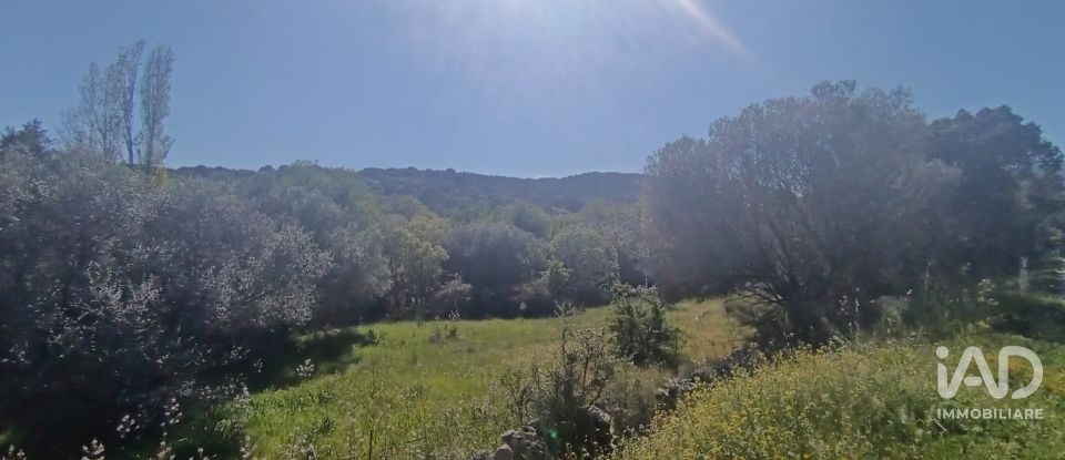 Terreno di 8.723 m² in Telti (07020)