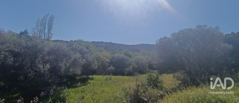 Terreno di 8.723 m² in Telti (07020)