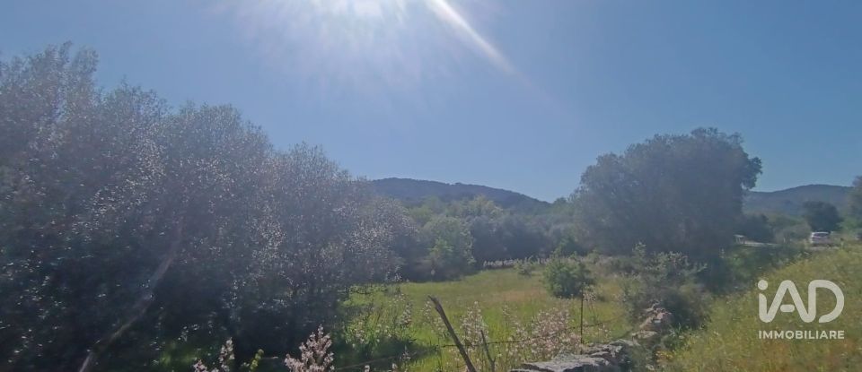 Terreno di 8.723 m² in Telti (07020)