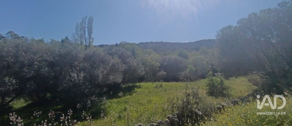 Terreno di 8.723 m² in Telti (07020)