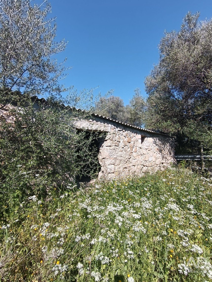 Terreno di 73.188 m² in Telti (07020)