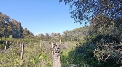 Terreno di 73.188 m² in Telti (07020)