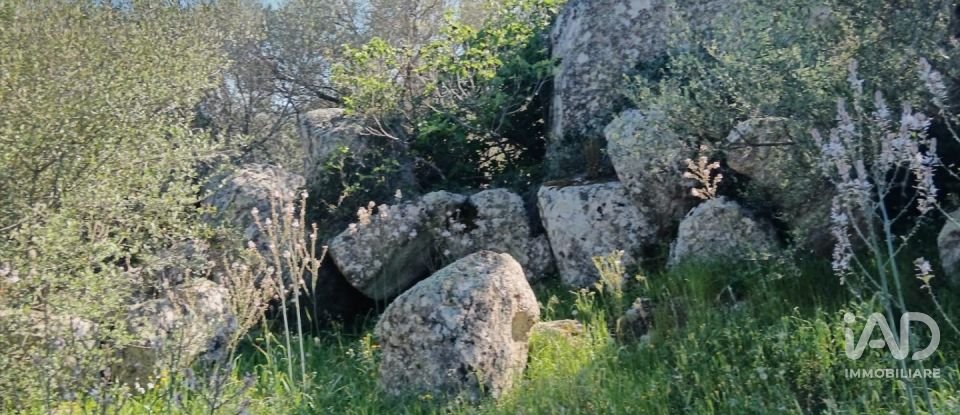 Terreno di 73.188 m² in Telti (07020)