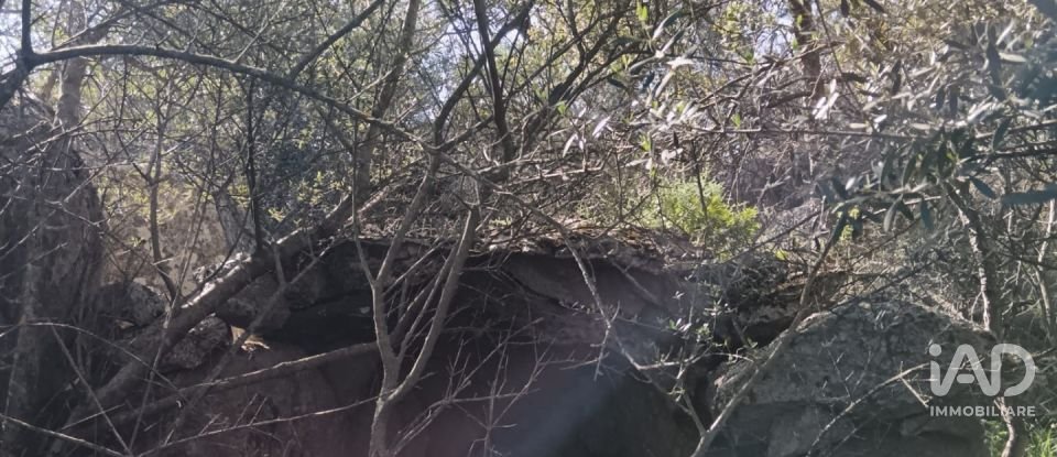 Terreno di 73.188 m² in Telti (07020)