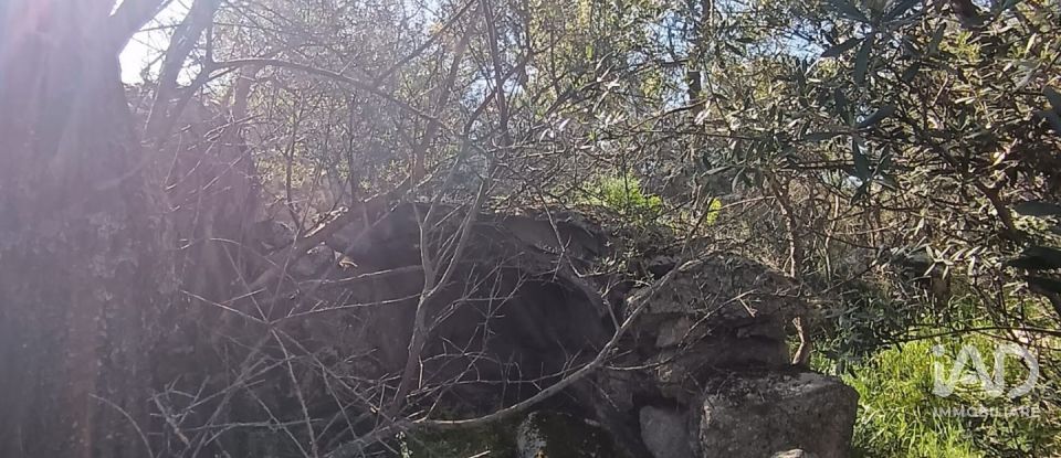 Terreno di 73.188 m² in Telti (07020)