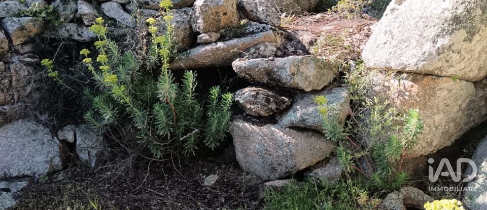 Terreno di 73.188 m² in Telti (07020)