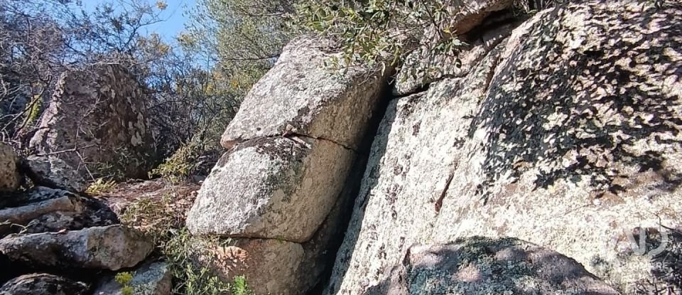 Terreno di 73.188 m² in Telti (07020)