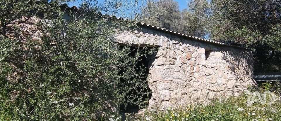 Terreno di 73.188 m² in Telti (07020)