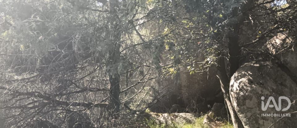 Terreno di 73.188 m² in Telti (07020)