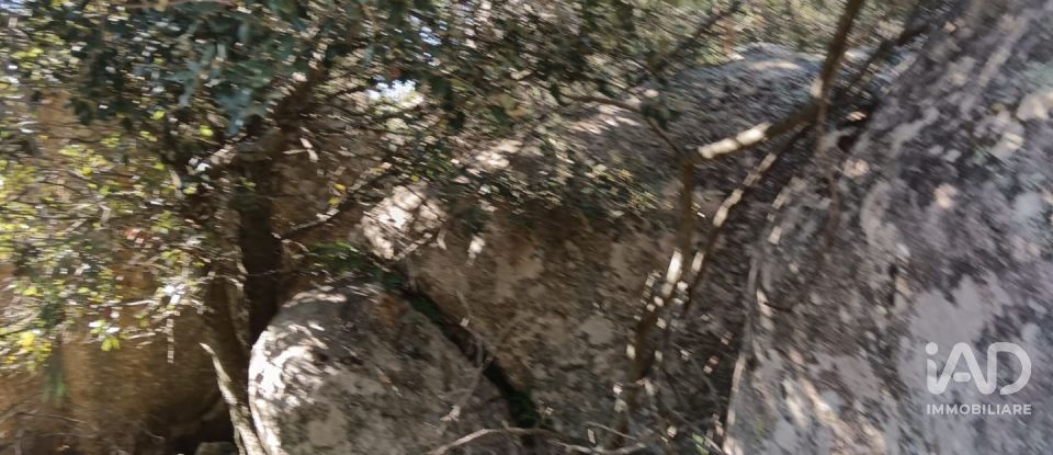 Terreno di 73.188 m² in Telti (07020)