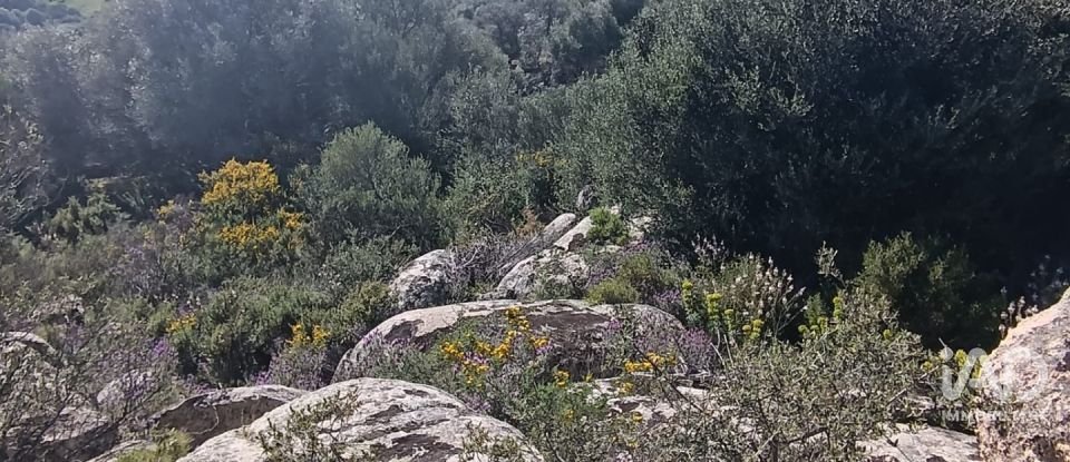 Terreno di 73.188 m² in Telti (07020)