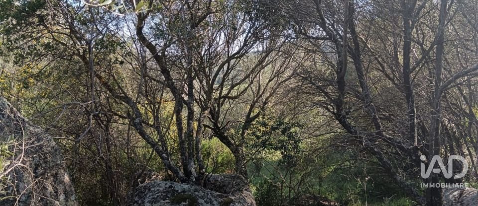 Terreno di 73.188 m² in Telti (07020)