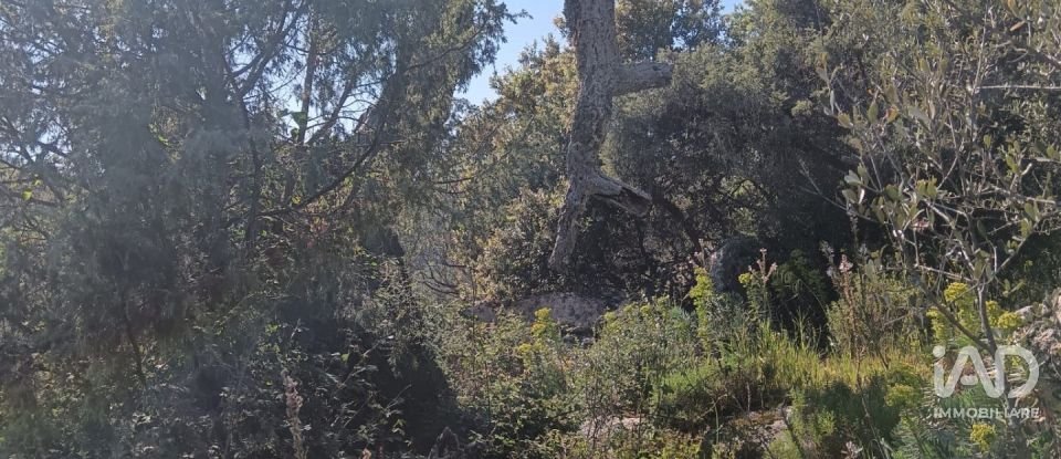 Terreno di 73.188 m² in Telti (07020)