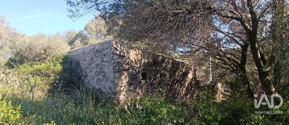 Terreno di 73.188 m² in Telti (07020)