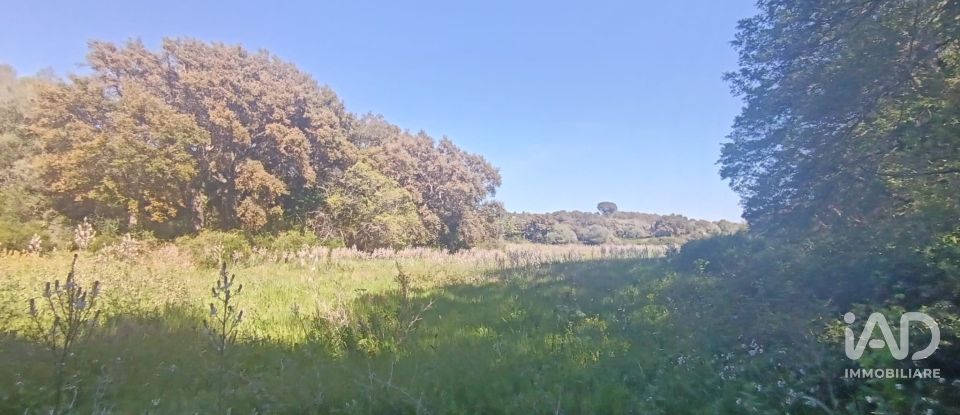 Terreno di 73.188 m² in Telti (07020)