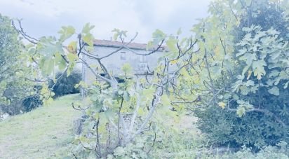 Casa indipendente 10 locali di 450 m² in Monteprandone (63076)