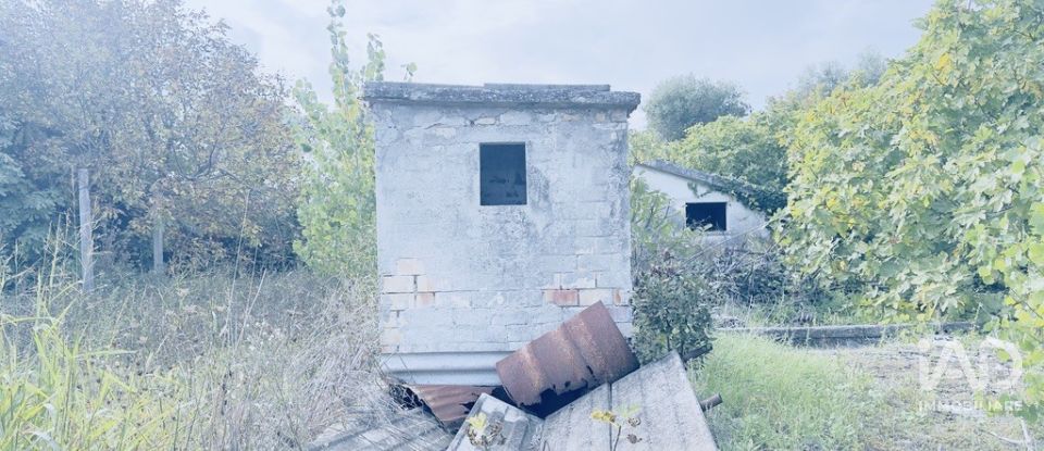 Casa indipendente 10 locali di 450 m² in Monteprandone (63076)