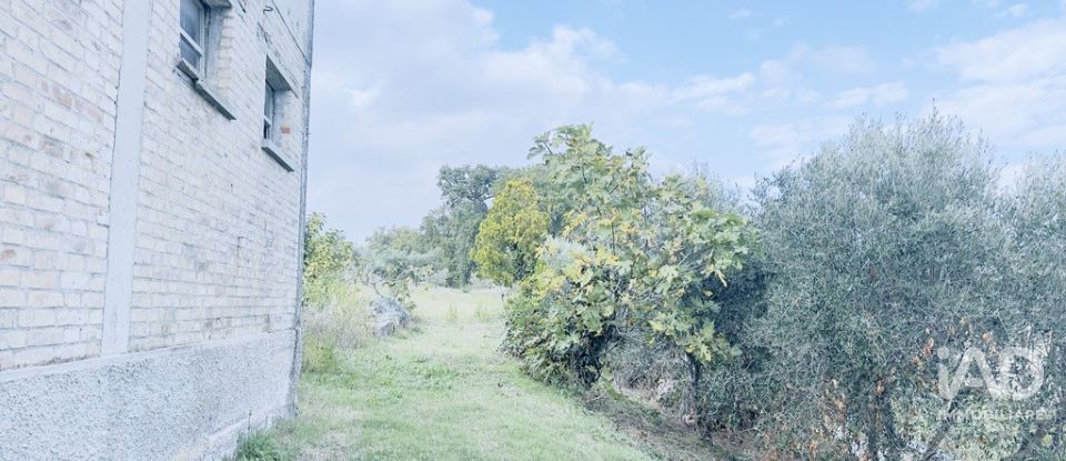 Casa indipendente 10 locali di 450 m² in Monteprandone (63076)