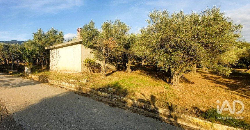 Terreno di 6.500 m² in Falerna (88042)