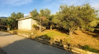 Terreno di 6.500 m² in Falerna (88042)