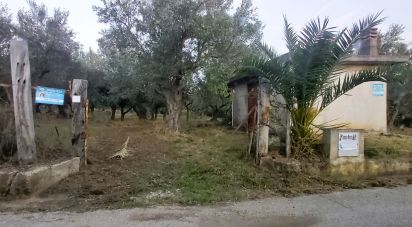 Terreno di 6.500 m² in Falerna (88042)