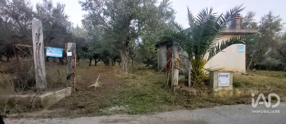 Terreno di 6.500 m² in Falerna (88042)