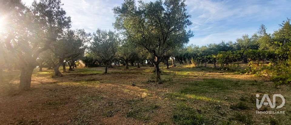 Terreno di 6.500 m² in Falerna (88042)