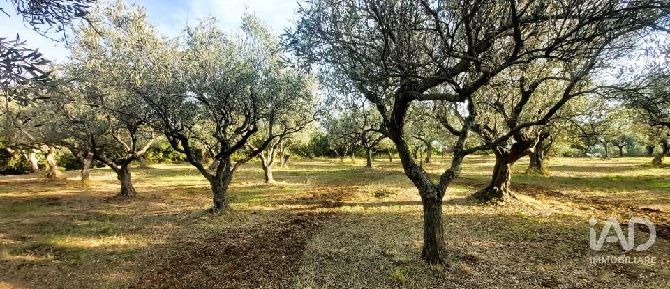 Terreno di 6.500 m² in Falerna (88042)