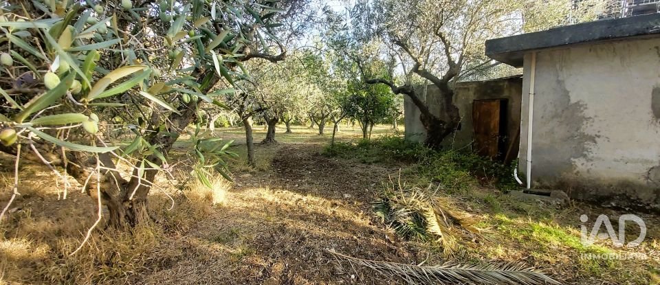 Terreno di 6.500 m² in Falerna (88042)