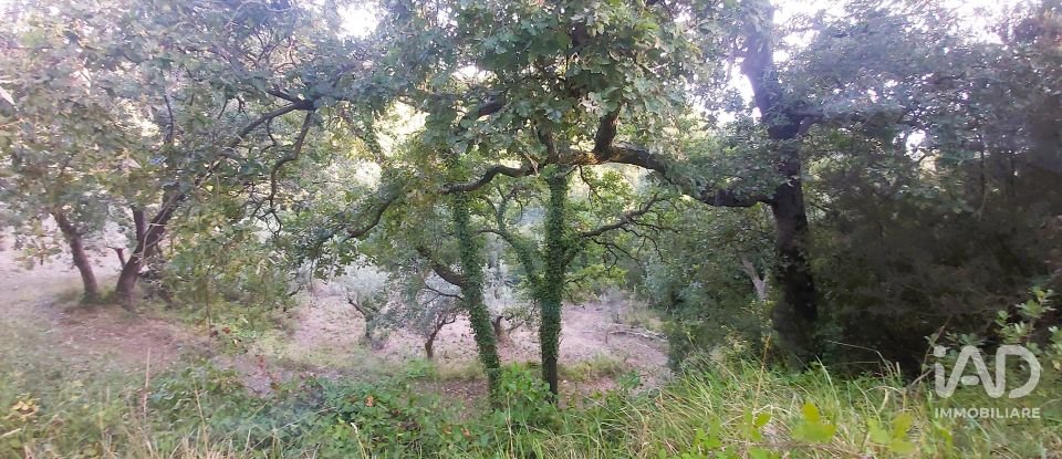 Terreno di 6.500 m² in Falerna (88042)