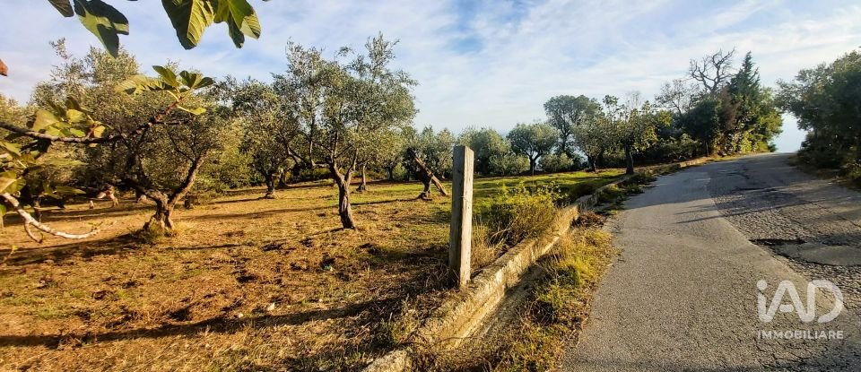 Terreno di 6.500 m² in Falerna (88042)