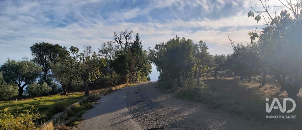 Terreno di 6.500 m² in Falerna (88042)