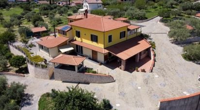 Casale 6 locali di 1.475 m² in Patti (98066)