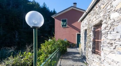 Casa indipendente / Villa 4 locali di 143 m² in Chiavari (16043)